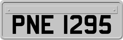 PNE1295
