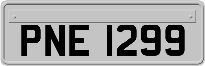 PNE1299