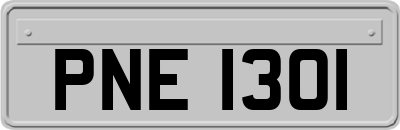 PNE1301