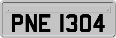 PNE1304