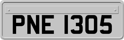 PNE1305