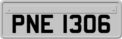 PNE1306