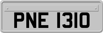 PNE1310