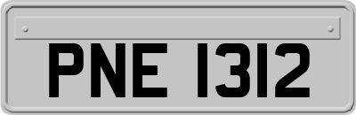 PNE1312