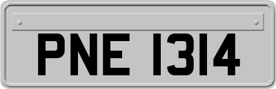 PNE1314