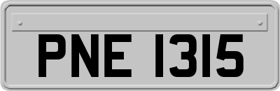 PNE1315