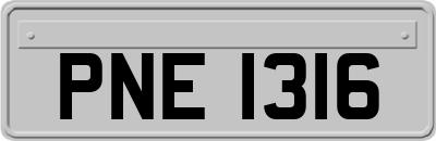PNE1316