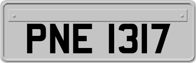 PNE1317