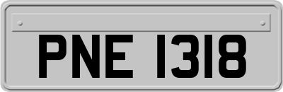PNE1318
