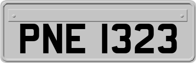 PNE1323