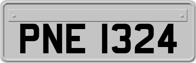 PNE1324