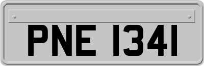 PNE1341