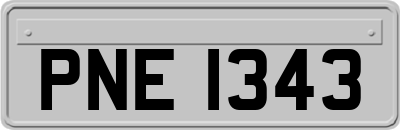PNE1343