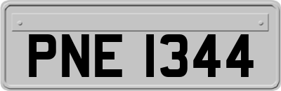 PNE1344