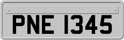 PNE1345