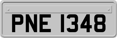 PNE1348