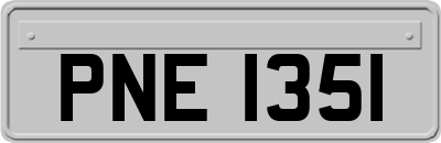 PNE1351