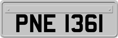 PNE1361