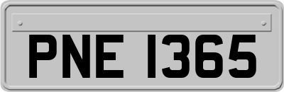 PNE1365