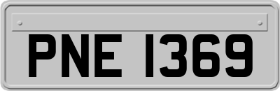PNE1369