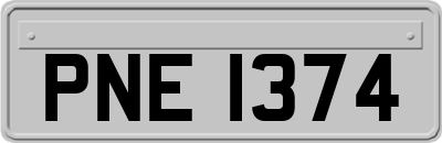 PNE1374