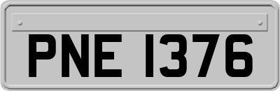 PNE1376