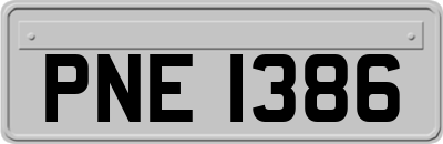 PNE1386