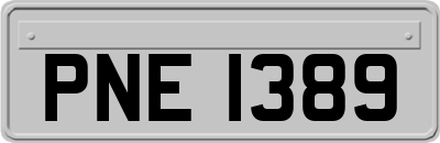 PNE1389