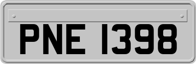 PNE1398