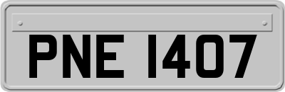 PNE1407