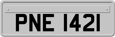 PNE1421