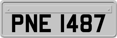 PNE1487