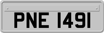 PNE1491