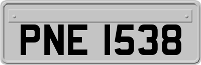PNE1538