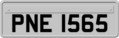 PNE1565