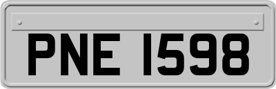 PNE1598