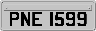 PNE1599