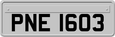 PNE1603