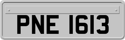 PNE1613