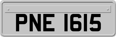 PNE1615
