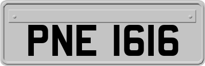 PNE1616