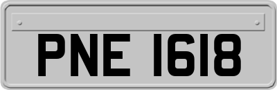 PNE1618