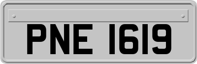 PNE1619