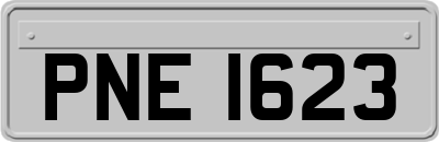 PNE1623