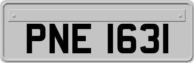 PNE1631
