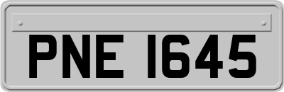 PNE1645
