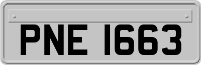 PNE1663