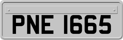 PNE1665