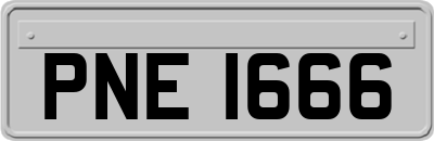 PNE1666