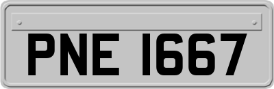 PNE1667